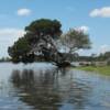 Hidden coves for fishing and exploring and admiring.