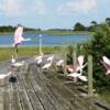 Roseate Spoonbills live here. Come see them.